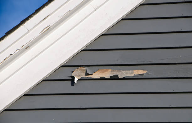 Trusted Fayette, AL Siding Installation Experts