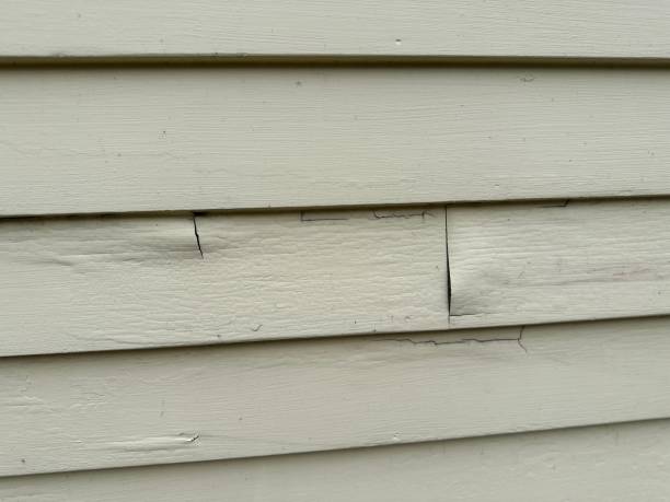 Best Fiber Cement Siding Installation  in Fayette, AL